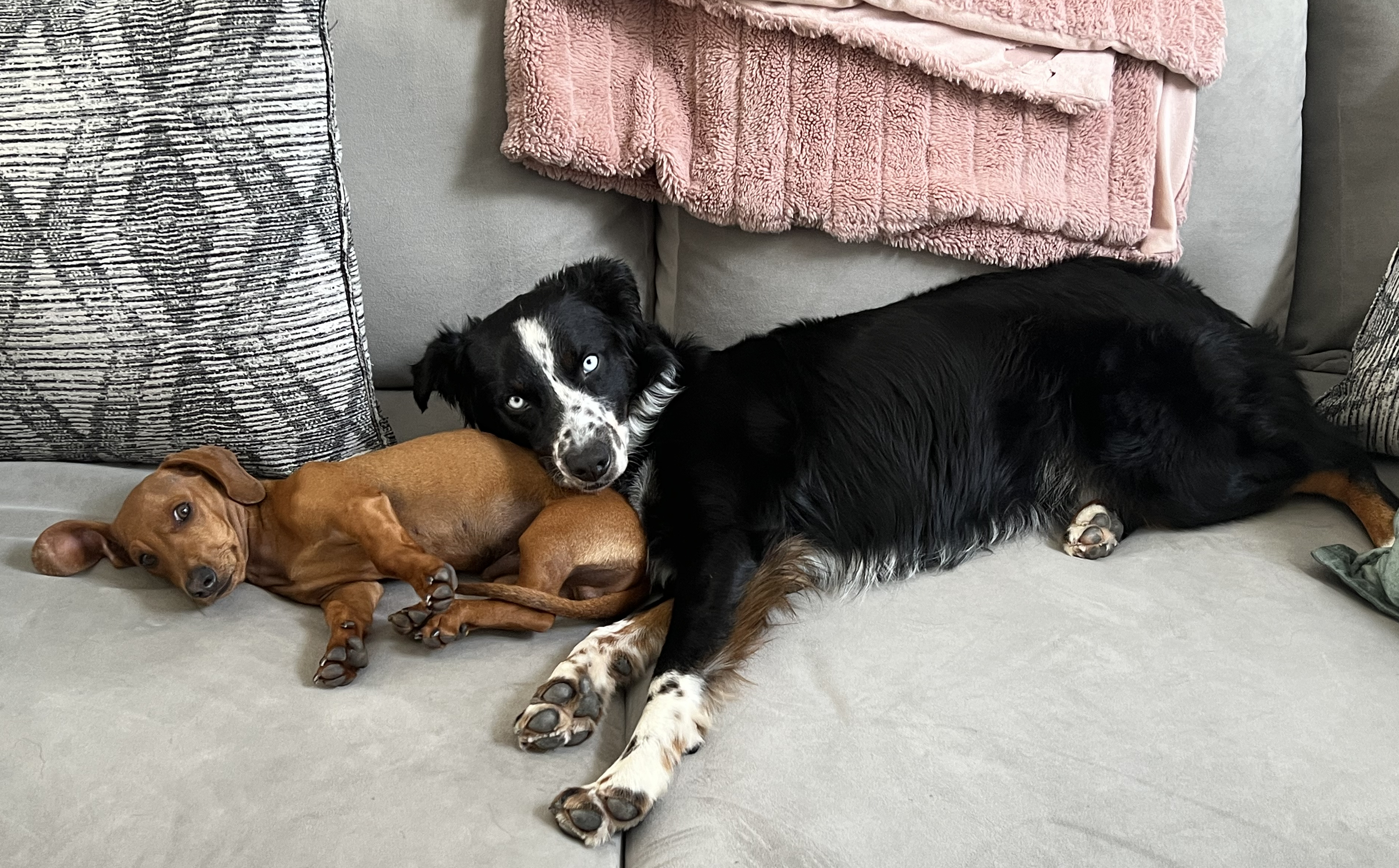 Family Image